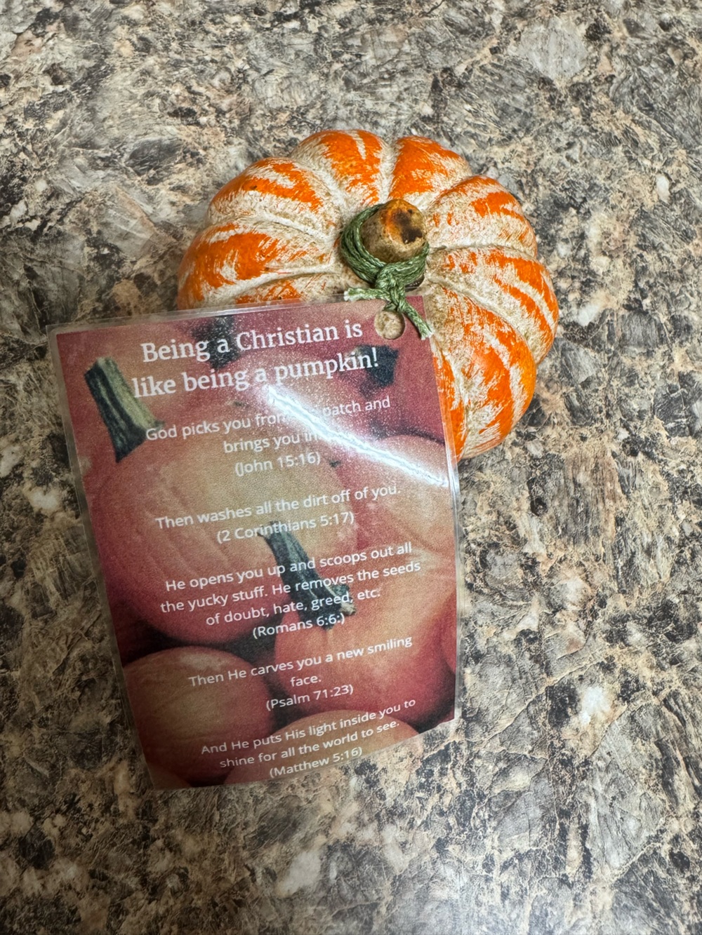 Decorative Pumpkin Accent - Home Kitchen